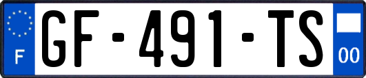 GF-491-TS