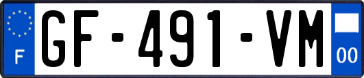 GF-491-VM