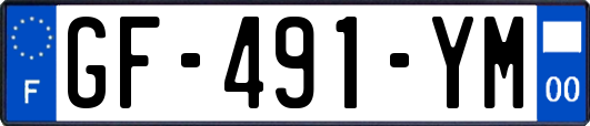 GF-491-YM