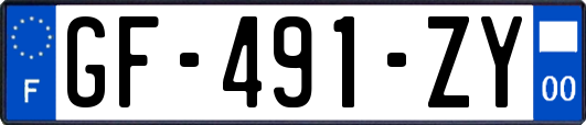 GF-491-ZY