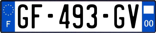 GF-493-GV