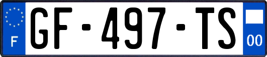 GF-497-TS