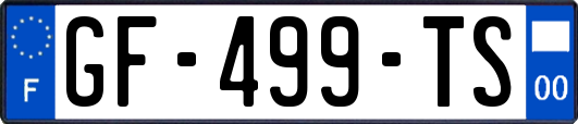 GF-499-TS