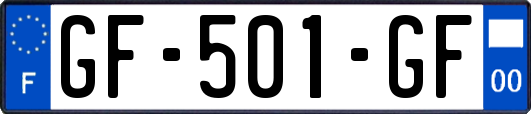 GF-501-GF