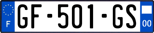 GF-501-GS