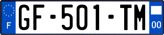 GF-501-TM