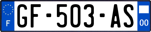 GF-503-AS
