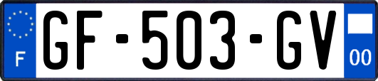 GF-503-GV