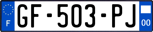 GF-503-PJ
