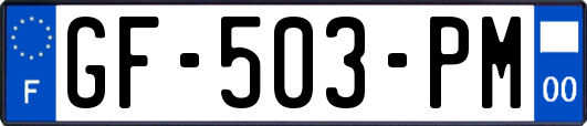GF-503-PM