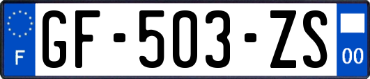 GF-503-ZS