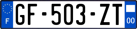 GF-503-ZT