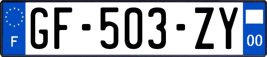 GF-503-ZY