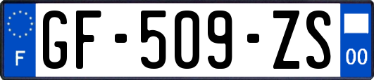 GF-509-ZS