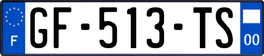 GF-513-TS