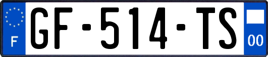 GF-514-TS