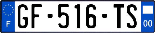 GF-516-TS