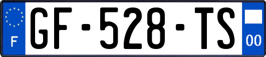 GF-528-TS