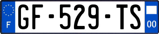 GF-529-TS