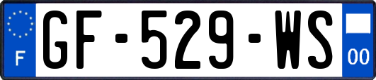GF-529-WS