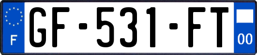 GF-531-FT