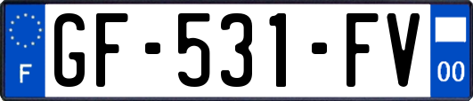 GF-531-FV