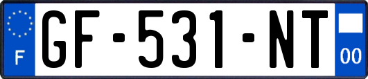 GF-531-NT