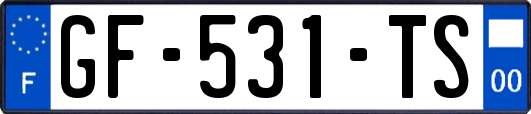 GF-531-TS
