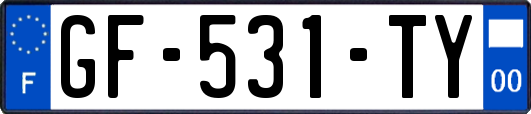 GF-531-TY