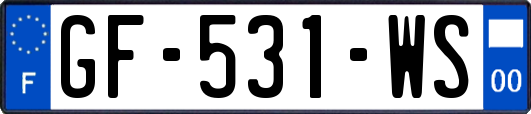 GF-531-WS
