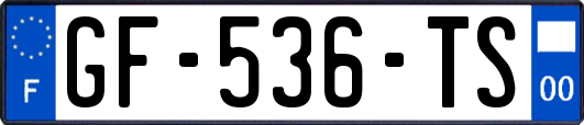 GF-536-TS
