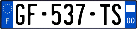 GF-537-TS