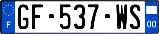 GF-537-WS