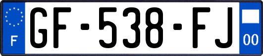 GF-538-FJ