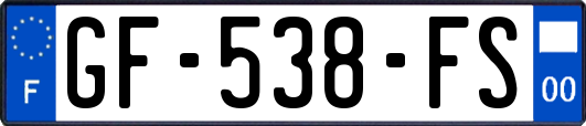 GF-538-FS