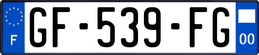 GF-539-FG