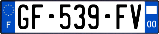 GF-539-FV