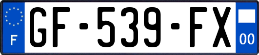 GF-539-FX