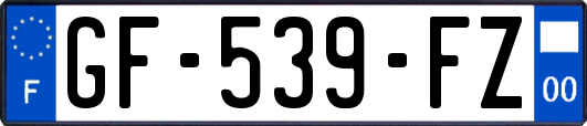 GF-539-FZ