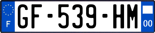 GF-539-HM