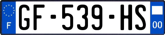 GF-539-HS