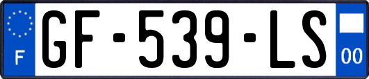GF-539-LS