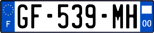 GF-539-MH