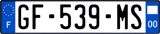 GF-539-MS