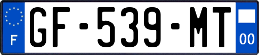 GF-539-MT