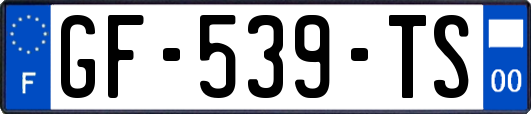 GF-539-TS