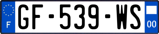 GF-539-WS