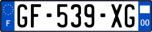 GF-539-XG