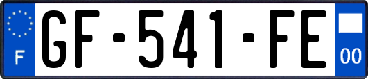 GF-541-FE