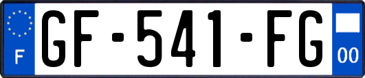 GF-541-FG
